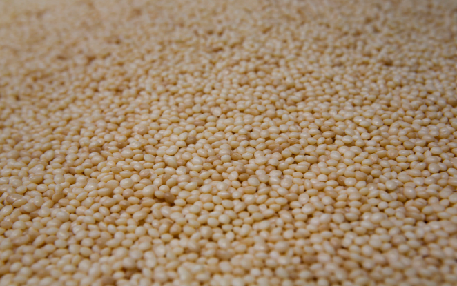 Marca - PRIVATE LABEL CONFERENCE AND EXHIBITION